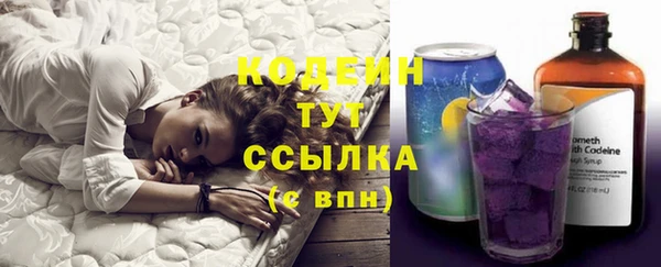 индика Беломорск