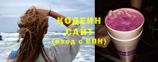 индика Беломорск