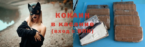индика Беломорск