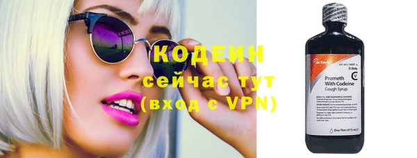 индика Беломорск