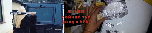 стаф Белоозёрский