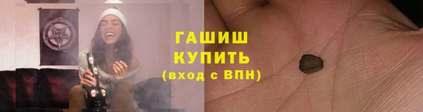 индика Беломорск