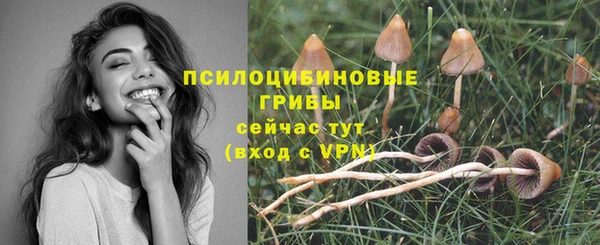 индика Беломорск