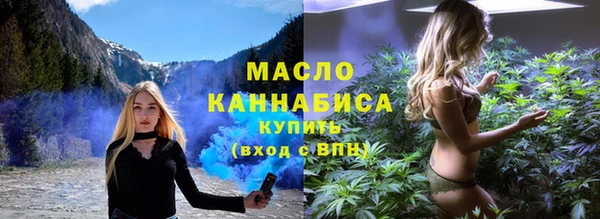 индика Беломорск