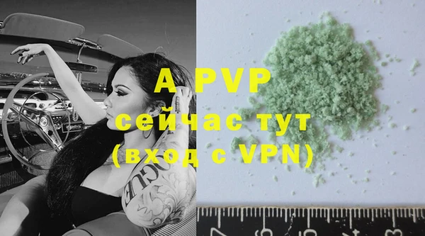индика Беломорск