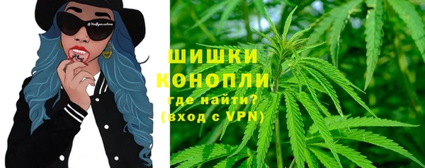 индика Беломорск