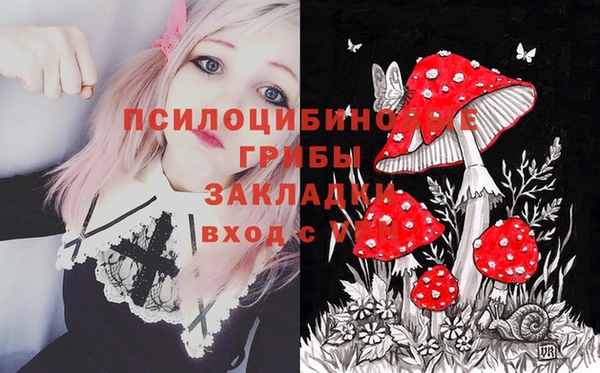 стаф Белоозёрский